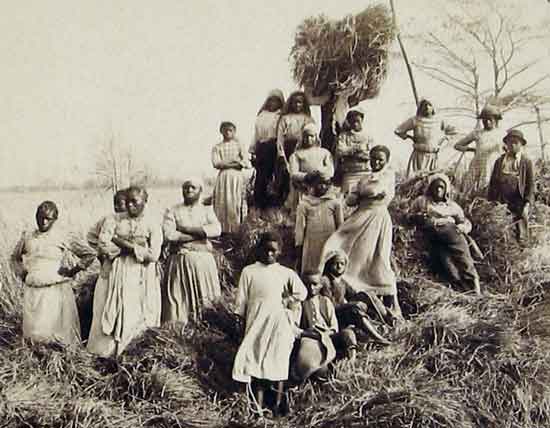 Rice laborers -women and children on rice plantation